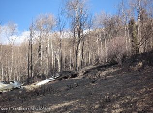 40 Fisherman Creek Rd, Bondurant, WY 82922