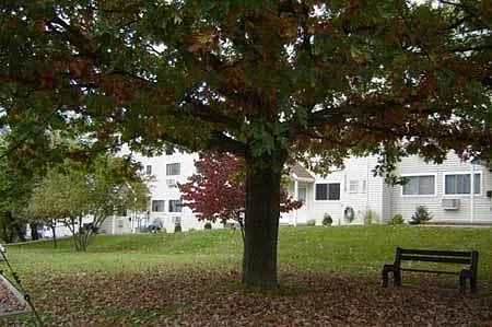 55+ Community - Springvale Apartments — Photo 9
