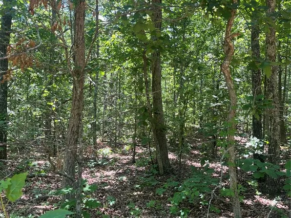 1 County Road 750, Centerville, MO 63633