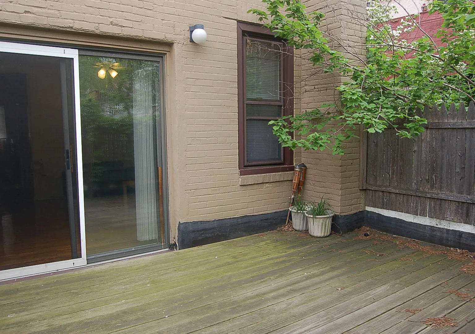 1934 Waverly Street — Photo 3