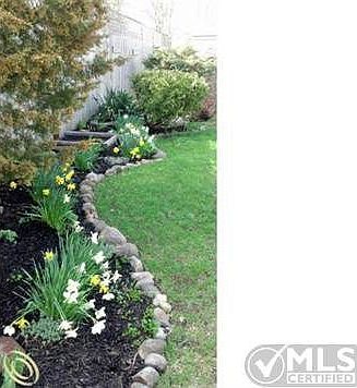Back Yard.jpg