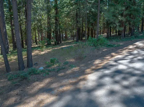 0 Oak Ct Parcel B, Arnold, CA 95223