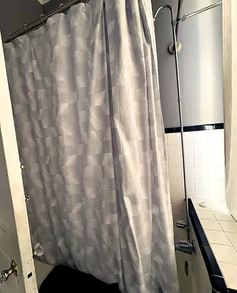 1219 E Henry St #1219B — Photo 13