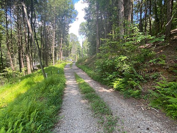 2nd image of Hemlock Hemlock Trl