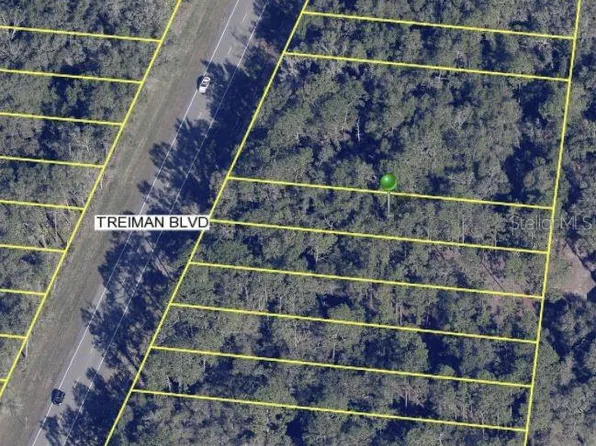 7284 TREIMAN BOULEVARD LOT 6, WEBSTER, FL 33597