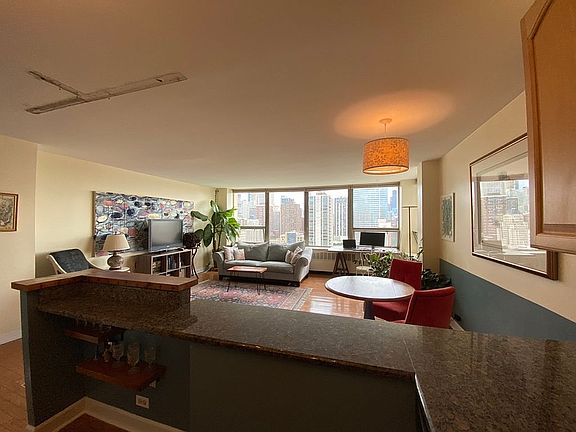 5th image of 1360 N Sandburg Ter APT 2105