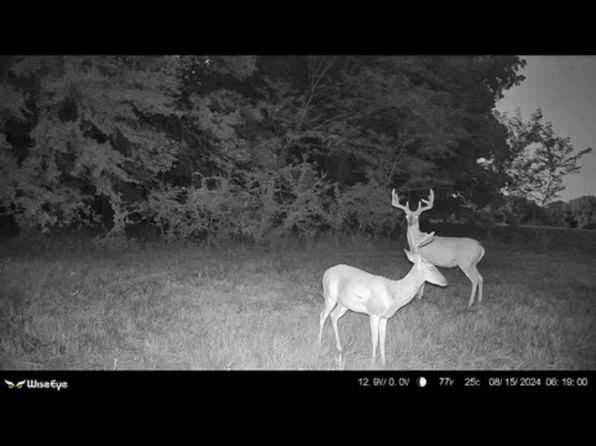 0 Mitchell Rd, McAlester, OK 74501