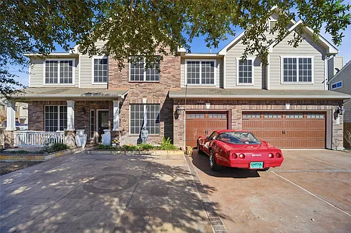 113 Scarlet Oak Cv Photo 1
