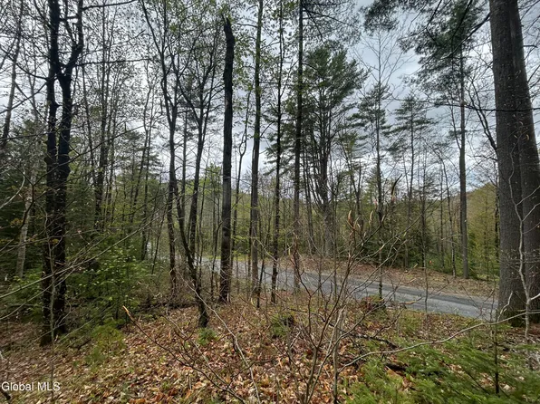 L46 Alder Brook Road, Brant Lake, NY 12815