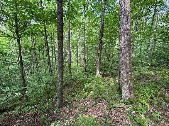 3rd image of 0 Laurel Run Rd