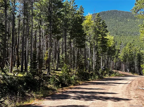 3443 Drexler Place LOT 3443, Fort Garland, CO 81133