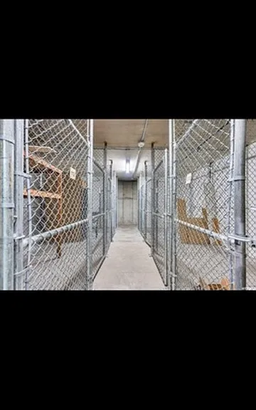 Storage space in basement