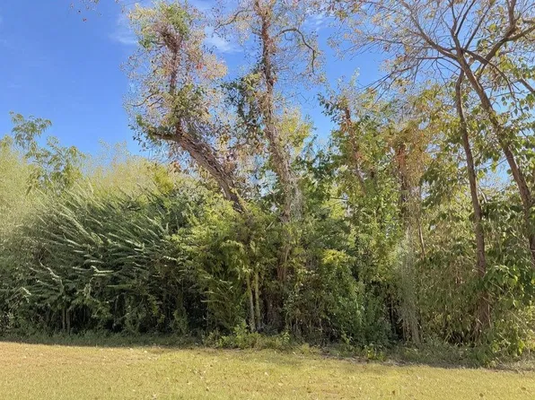 Riverview Dr, Coldspring, TX 77331