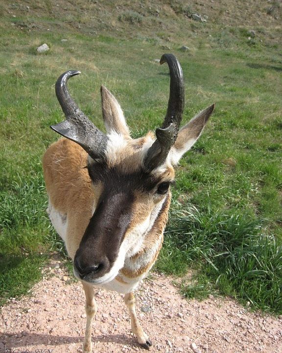 2800 Marshall Rd 24&25, Medicine Bow, WY 82329 MLS 380192 Zillow