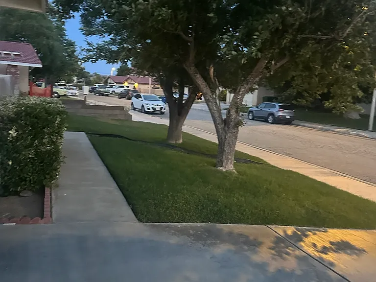 1833 Einstein St — Photo 6