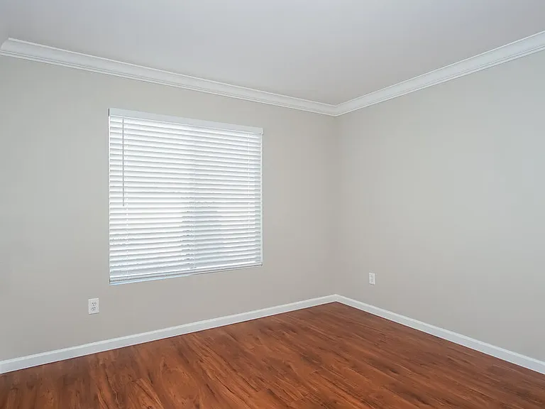 718 Saratoga Springs St — Photo 12