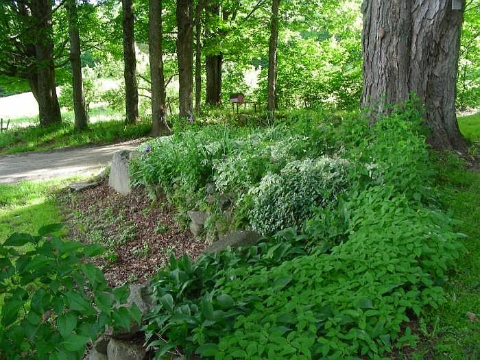 Old Gardens