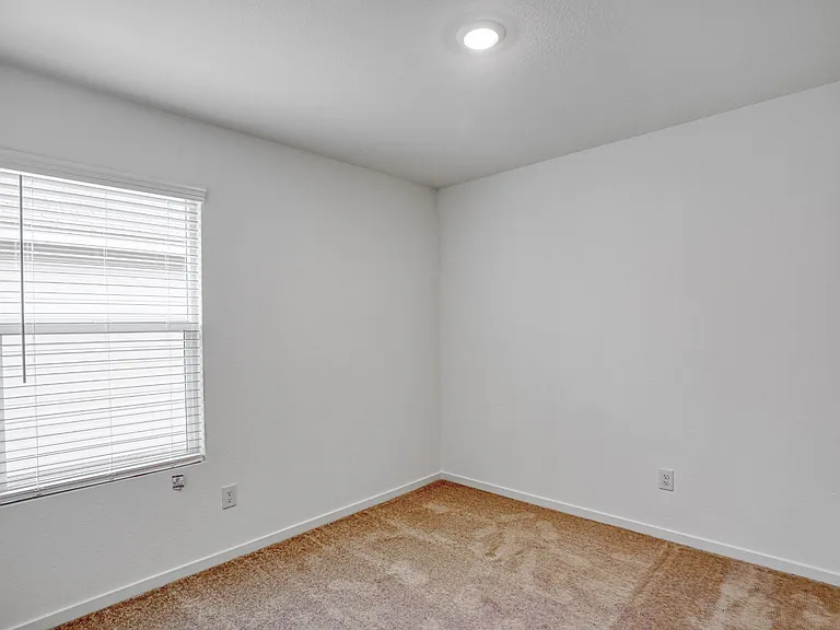 803 Ginkgo Way — Photo 27