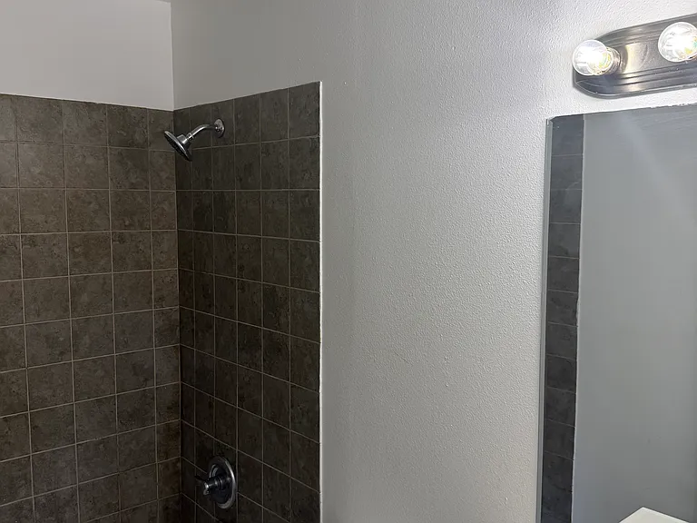 Hall bathroom