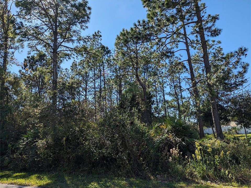 1st image of 8 Sedgefield Path N #17