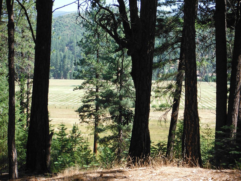 Meadow View