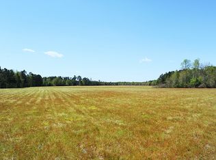 2384 Coleman Cemetary Rd, Cerro Gordo, NC 28430