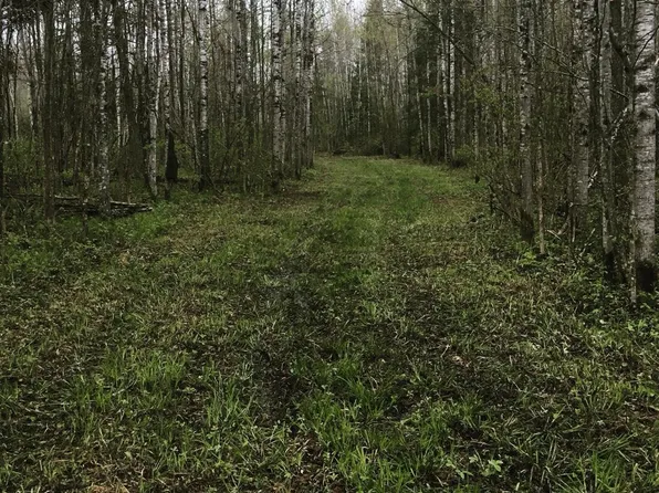 County Road 14, Bigfork, MN 56628