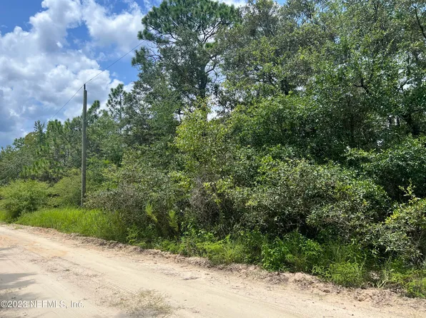 236 PAPAYA Street, Pomona Park, FL 32181