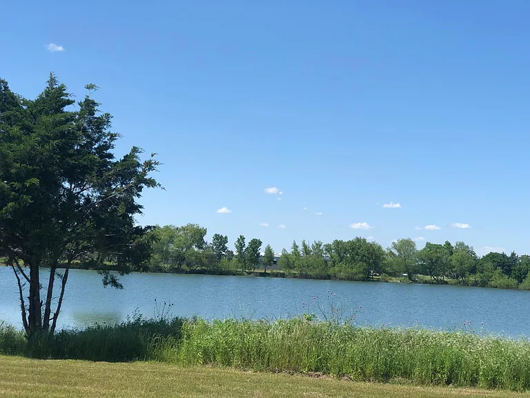 Surrounded by birds and mature trees