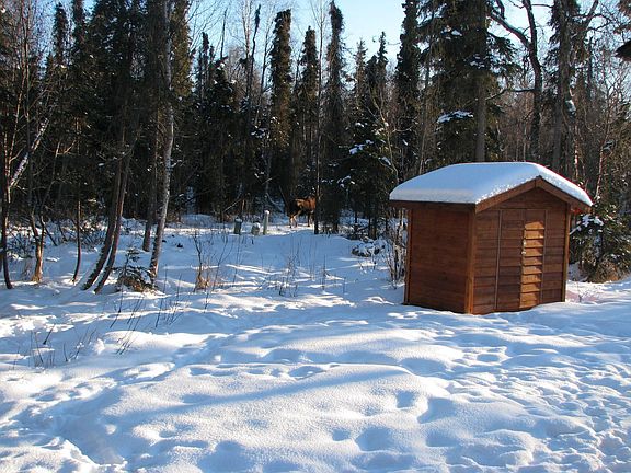 partially wooded lot w/ shed
