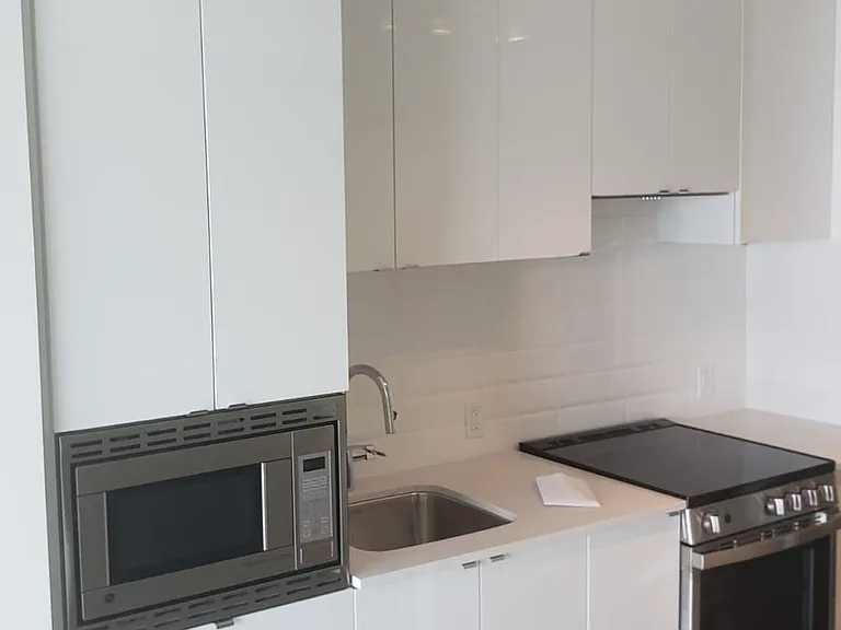 49 E Liberty St #2006 — Photo 7