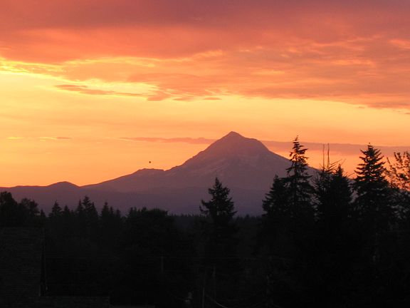 Mt Hood view