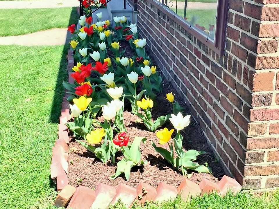 2nd image of 1519 Prospect Ave