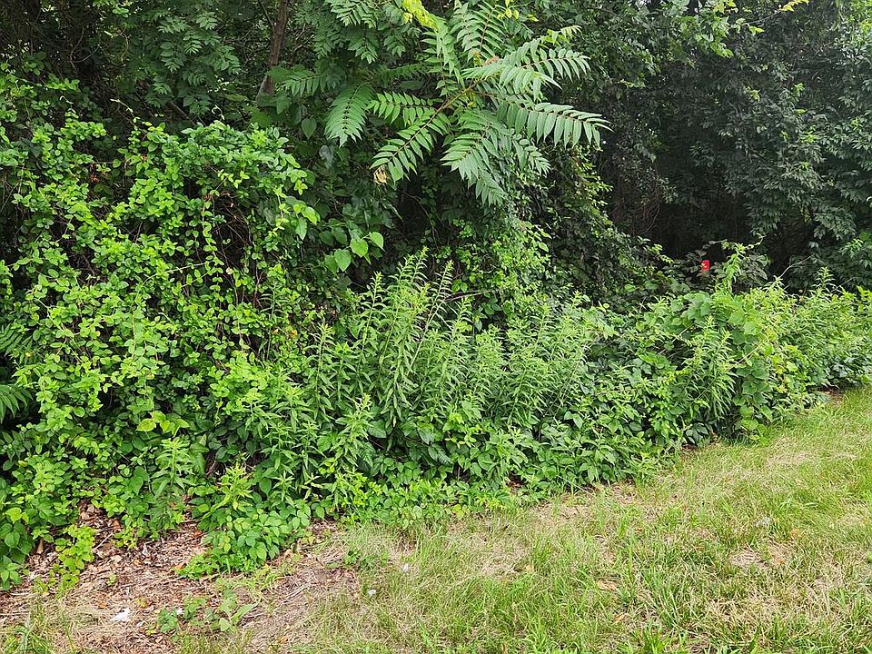 2nd image of 1284 Hurffville Rd