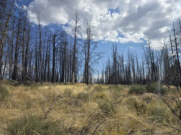 Valley Oak Ln, Bly, OR 97622