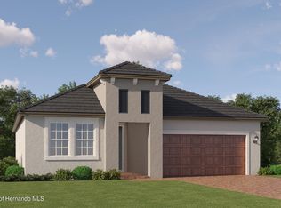 9668 Minnow Ray Dr, Land O Lakes, FL 34638