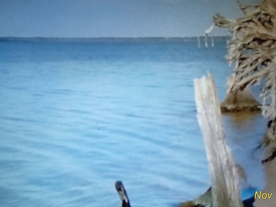 Enjoy this view everyday