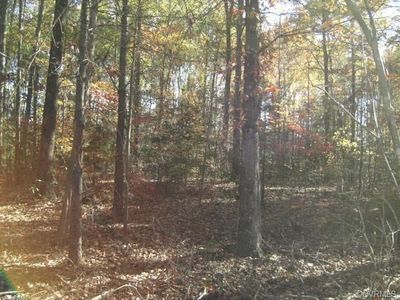 1043 Rock Castle Rd, Goochland, VA, 23063