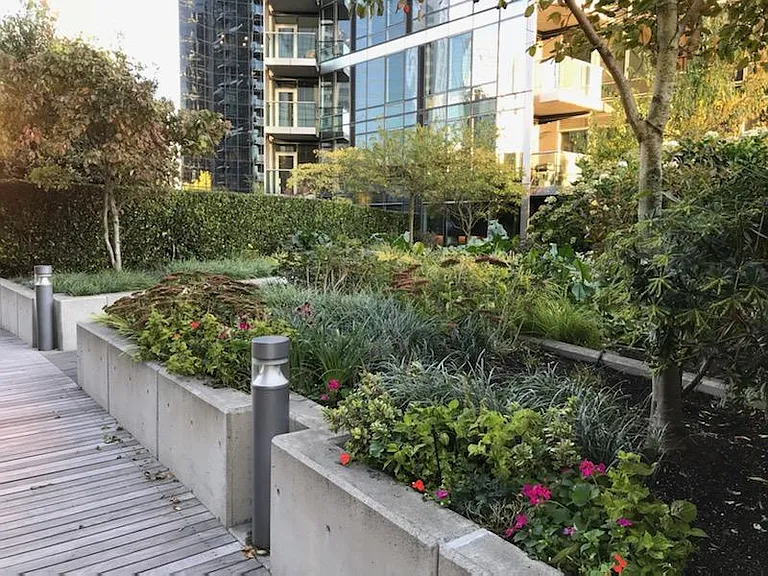 Lots of Green Space