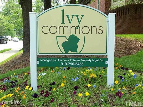 Ivy Commons Drive 1