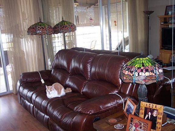 5th image of 9440 Poinciana Pl APT 301
