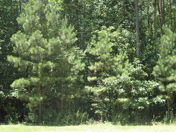 3rd image of 76 Green Valley Dr Lot 76
