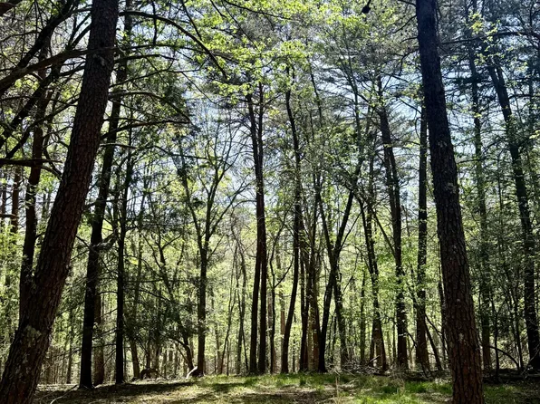 0 Timberwood Trce Lot 310, Monteagle, TN 37356