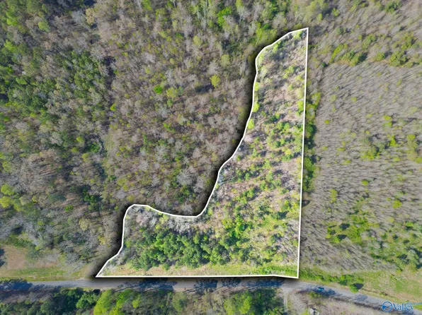 County Road 346, Pisgah, AL 35765