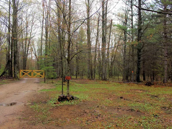 6265 SE Bobcat Trl, Kalkaska, MI 49646