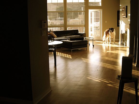 3rd image of 13020 Pacific Promenade Unit 405