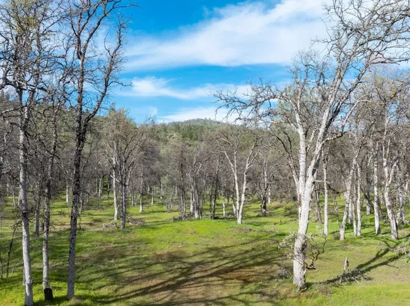 5328 E Whitlock Rd, Mariposa, CA 95338