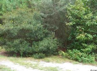 2 Reginas Pl #838, Georgetown, SC 29440