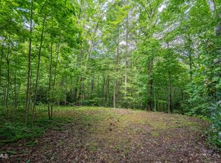 1501 Sprucy Ridge Private Rd, Mountain City, TN 37683