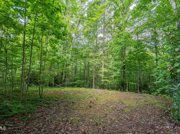 1501 Sprucy Ridge Private Rd, Mountain City, TN 37683